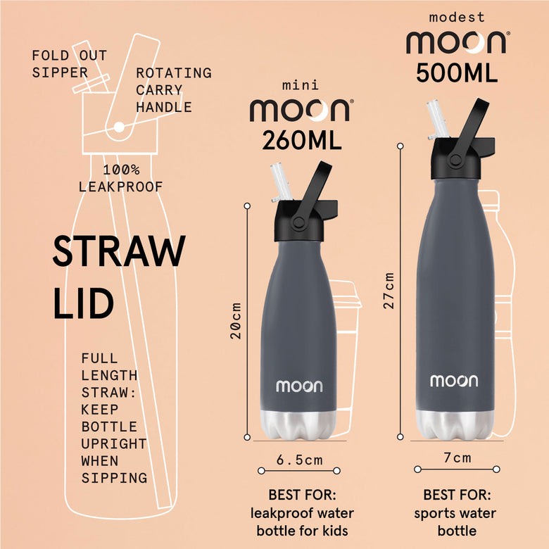 Water Bottle with Straw Lid