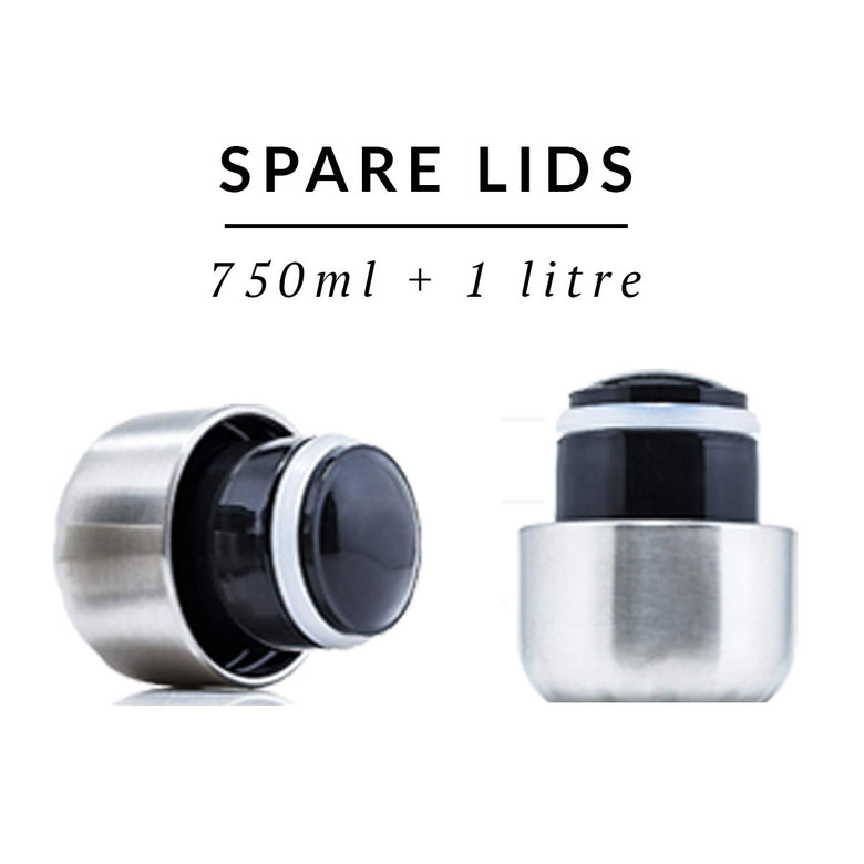 Replace Lid - Large